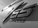 PRINCESS V65