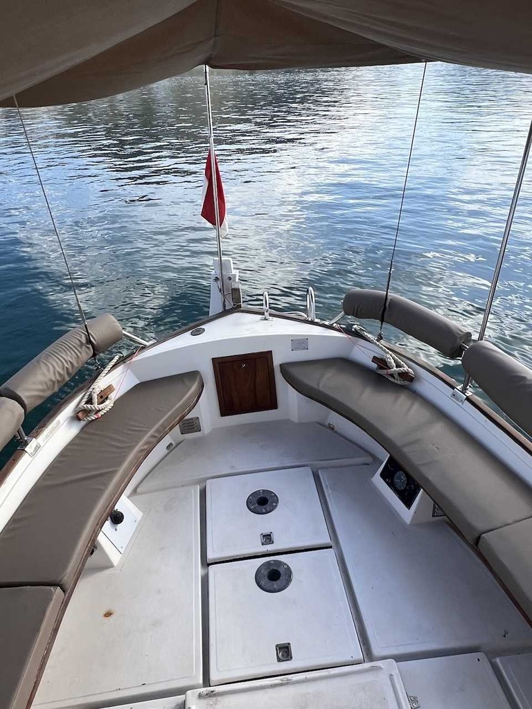 MAJONI 36 MIGJORN LLAUT