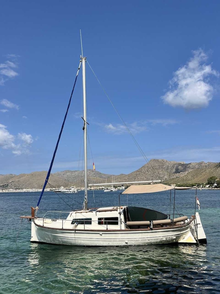 MAJONI 36 MIGJORN LLAUT
