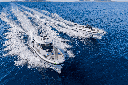 WELLCRAFT 33 T - TOP