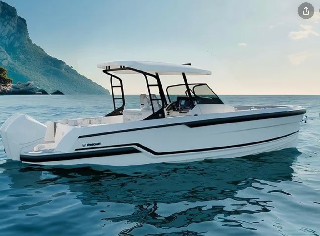 WELLCRAFT 28 T - TOP